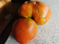 IMG_20240821_175900.webp IMG_20240821_175900.webp