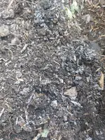 20240823_104001.webp