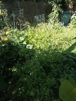 IMG_20240823_154816.jpg