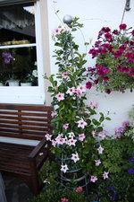 August       0924.JPG