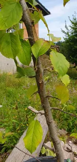 20240807_124811.webp
