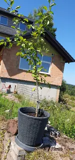 20240729_145450.webp