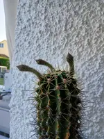 20240824_180226.jpg