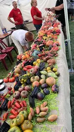 IMG_1998.jpeg