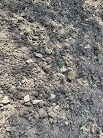 IMG_5348.jpeg