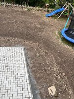 IMG_5359.jpeg