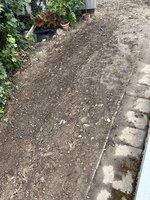 IMG_5358.jpeg