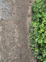 IMG_5357.jpeg