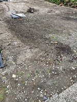IMG_5355.jpeg