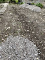 IMG_5356.jpeg