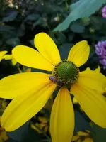 20240820_172919.webp