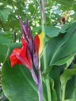 20240820_172715.webp