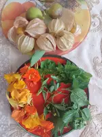 IMG_20240825_095142.webp