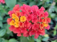 20240826_194515.webp
