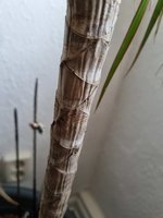 20240827_140241.jpg