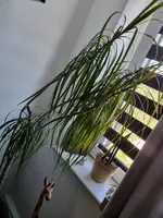 20240827_140232.webp