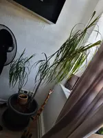 20240827_140225.webp