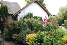 Terasse             5124.JPG
