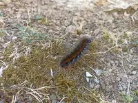 IMG_20240827_101517.jpg