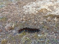 IMG_20240827_101530.jpg