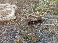 IMG_20240827_101621.jpg