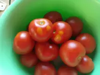 IMG_20240826_174133.webp