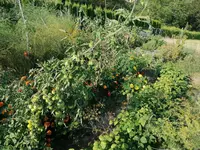 IMG_20240828_084227.webp