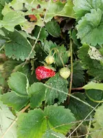 IMG_20240828_103040.webp