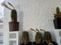 20240829_173446.webp
