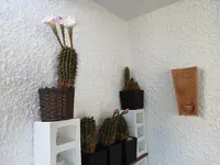 20240829_173436.webp