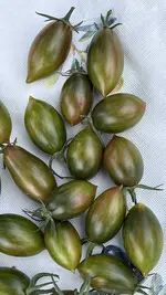 IMG_2119.jpeg