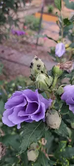 20240830_173018.webp