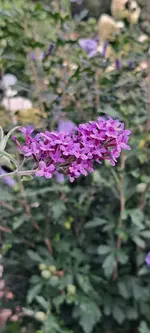 20240830_172817.webp