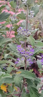 20240830_180059.webp