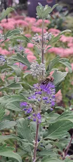 20240830_180105.webp