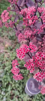 20240830_180905.webp