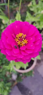 20240830_181206.webp
