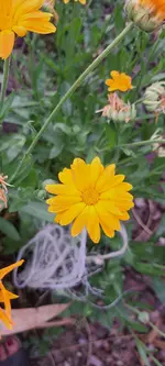 20240830_181055.webp