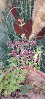 20240830_181041.webp