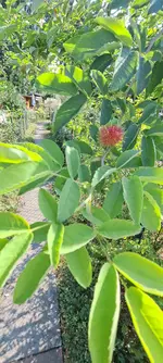 20240831_153634.webp