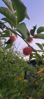 20240831_193405.webp