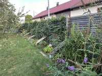 IMG_4351.jpeg