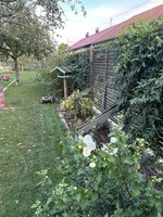 IMG_4348.jpeg