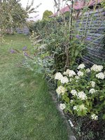 IMG_4350.jpeg