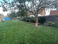 IMG_4349.jpeg