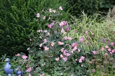 September     0324.webp
