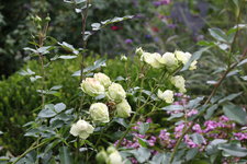 September     0424.JPG