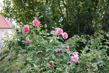 September     0524.JPG