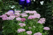 September     0624.webp