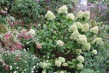 September     0724.JPG